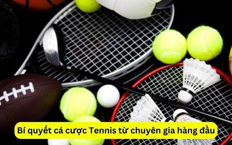 Bí quyết cá cược Tennis từ chuyên gia hàng đầu