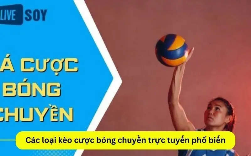 Các loại kèo cược bóng chuyền trực tuyến phổ biến