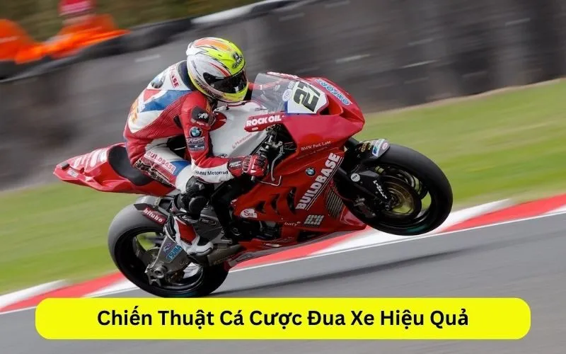 Chiến Thuật Cá Cược Đua Xe Hiệu Quả