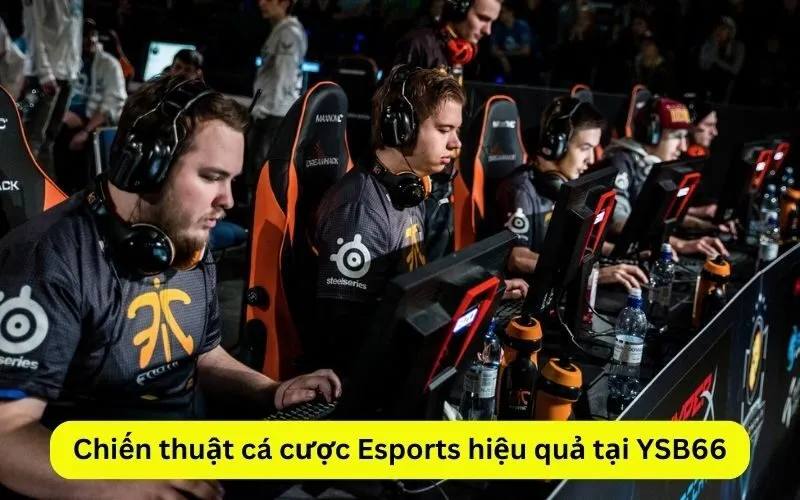 Chiến thuật cá cược Esports hiệu quả tại YSB66