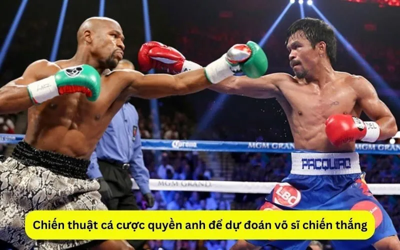 Chiến thuật cá cược quyền anh để dự đoán võ sĩ chiến thắng