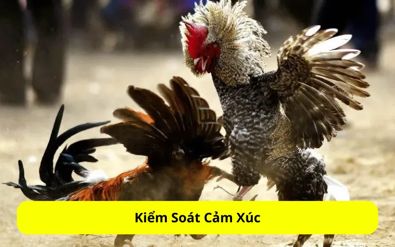 Kiểm Soát Cảm Xúc