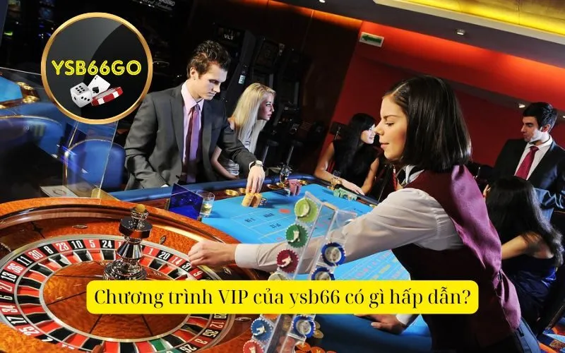 Chương trình VIP của ysb66 có gì hấp dẫn