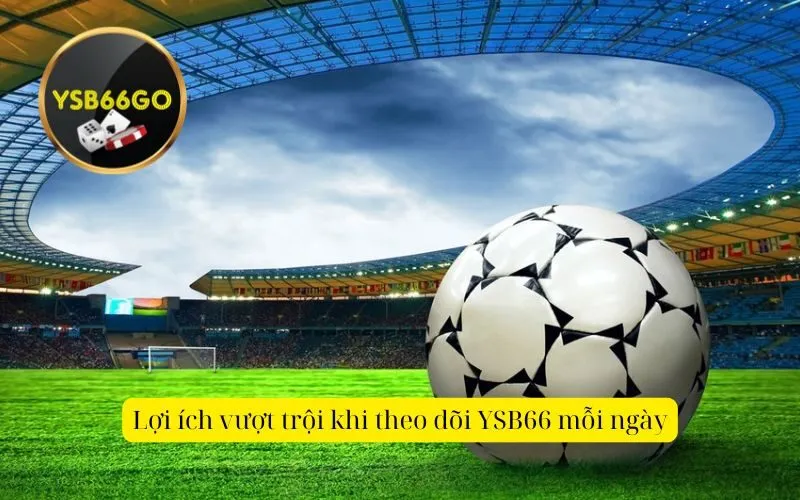 Lợi ích vượt trội khi theo dõi YSB66 mỗi ngày