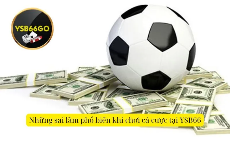 Những sai lầm phổ biến khi chơi cá cược tại YSB66