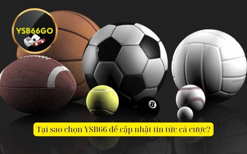 Tại sao chọn YSB66 để cập nhật tin tức cá cược